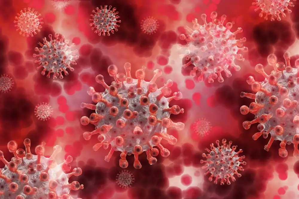 Testo Virus